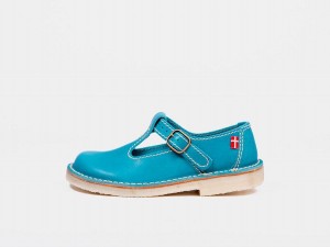 Women's Duckfeet Lolland Mary Jane Shoes Blue | SBZ5935XD