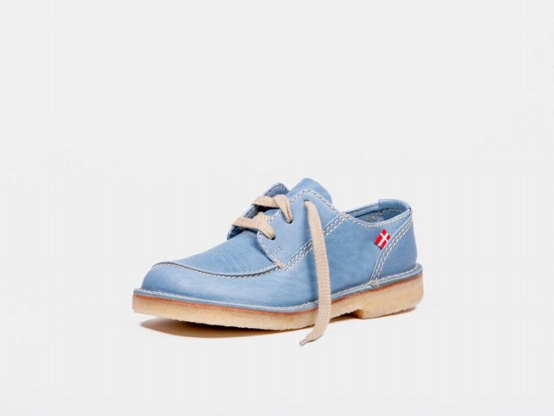 Women's Duckfeet Fyn Lace Up Shoes Blue | AXR1942RD