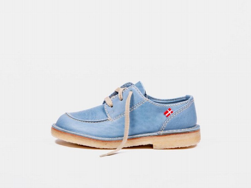 Women\'s Duckfeet Fyn Lace Up Shoes Blue | AXR1942RD