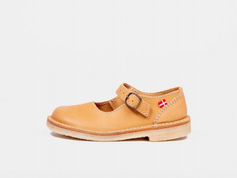 Women\'s Duckfeet Himmerland Mary Jane Shoes Brown | UQT1110HD