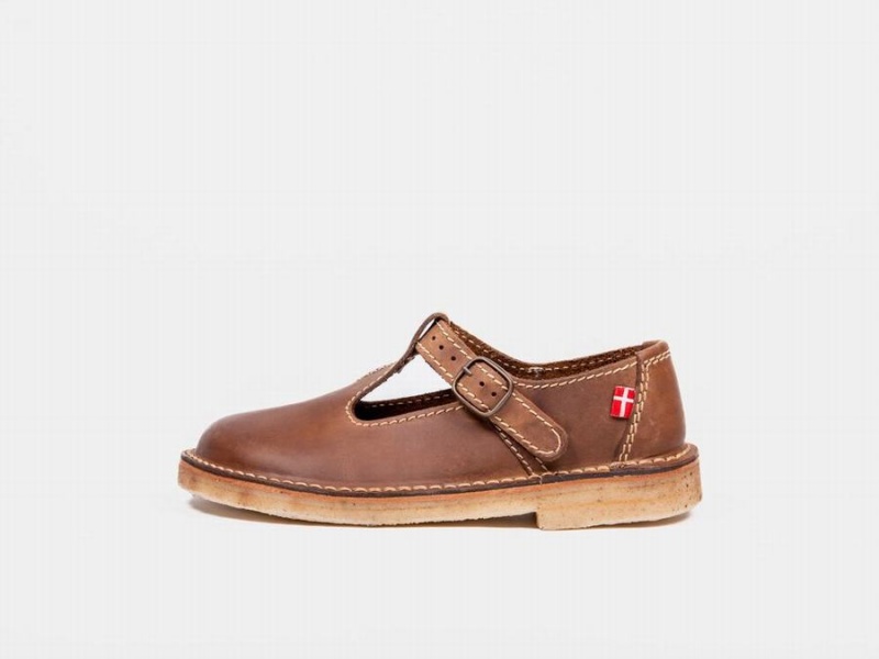Women\'s Duckfeet Lolland Mary Jane Shoes Dark Brown | DHI8370KF