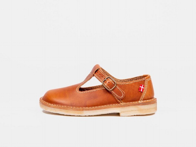 Women\'s Duckfeet Lolland Mary Jane Shoes Brown | QOR6642FB