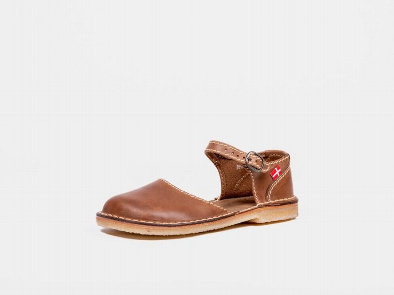 Women's Duckfeet Mols Mary Jane Shoes Dark Brown | GRZ4959TB